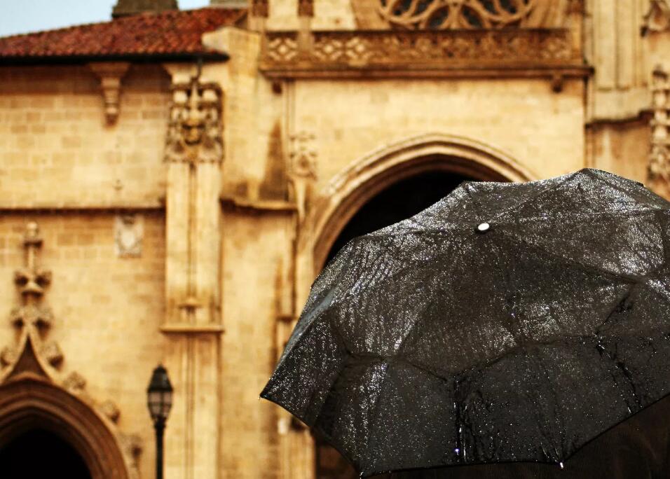黑色雨傘|雨傘"