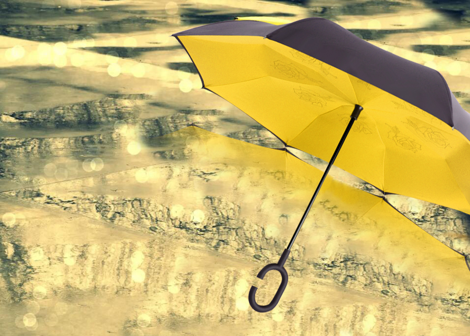 黃色雨傘|雨傘"