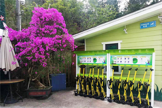 花粉共享兒童車