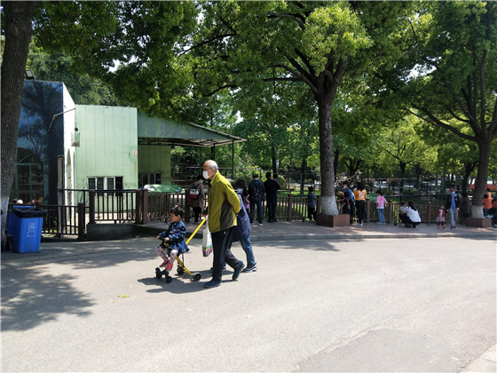 法瑞納花粉共享童車(chē)(遛娃神器)-兒童出行的代步工具