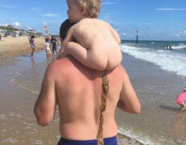 花粉共享童車(遛娃車)