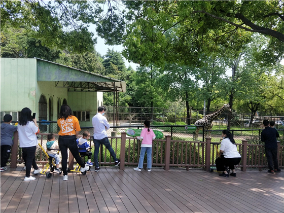 花粉共享童車(遛娃車)