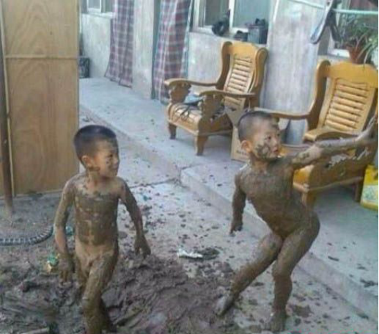 花粉共享童車(遛娃車)