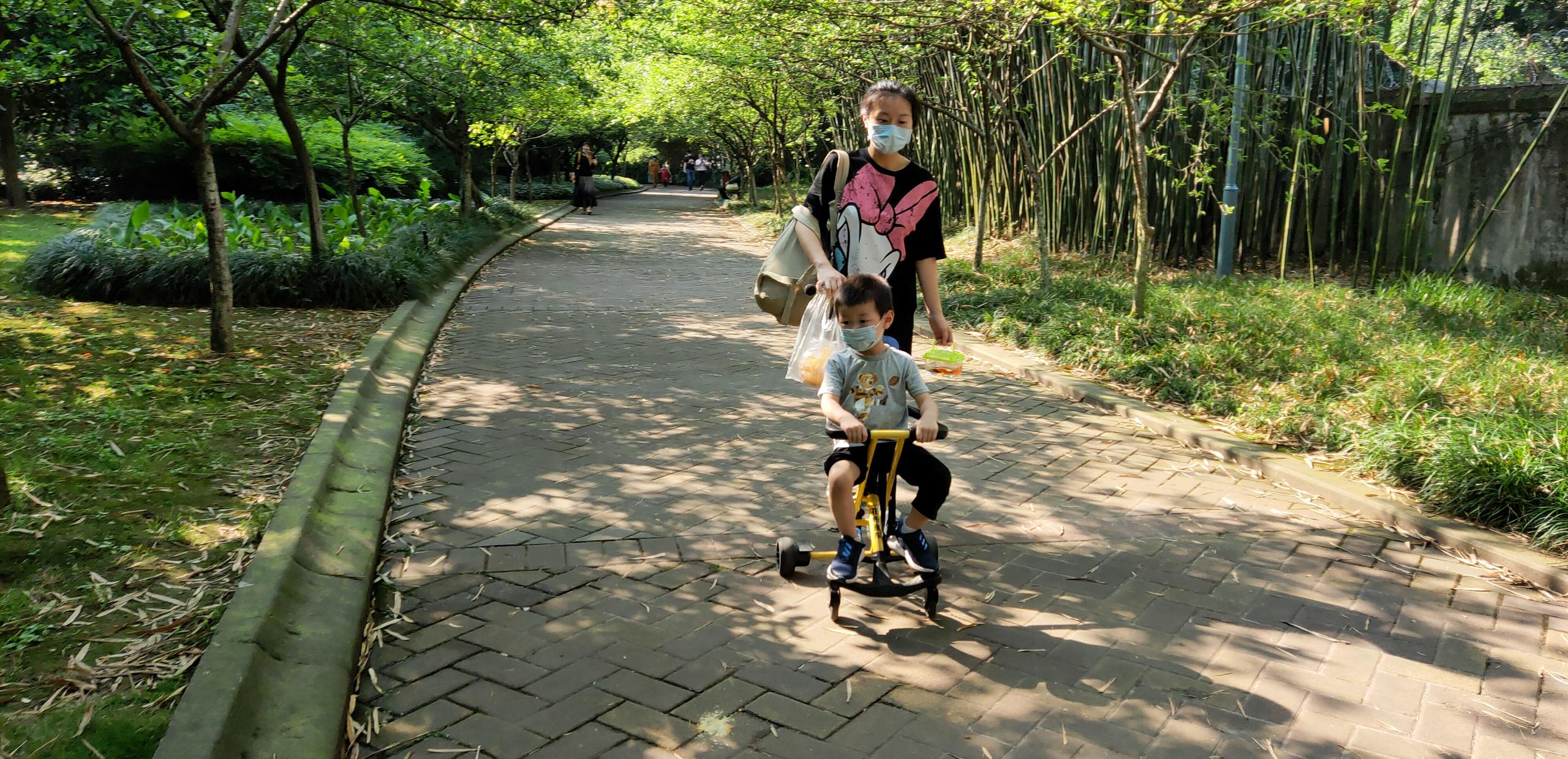 共享童車在景區(qū)投放中的優(yōu)勢(shì)