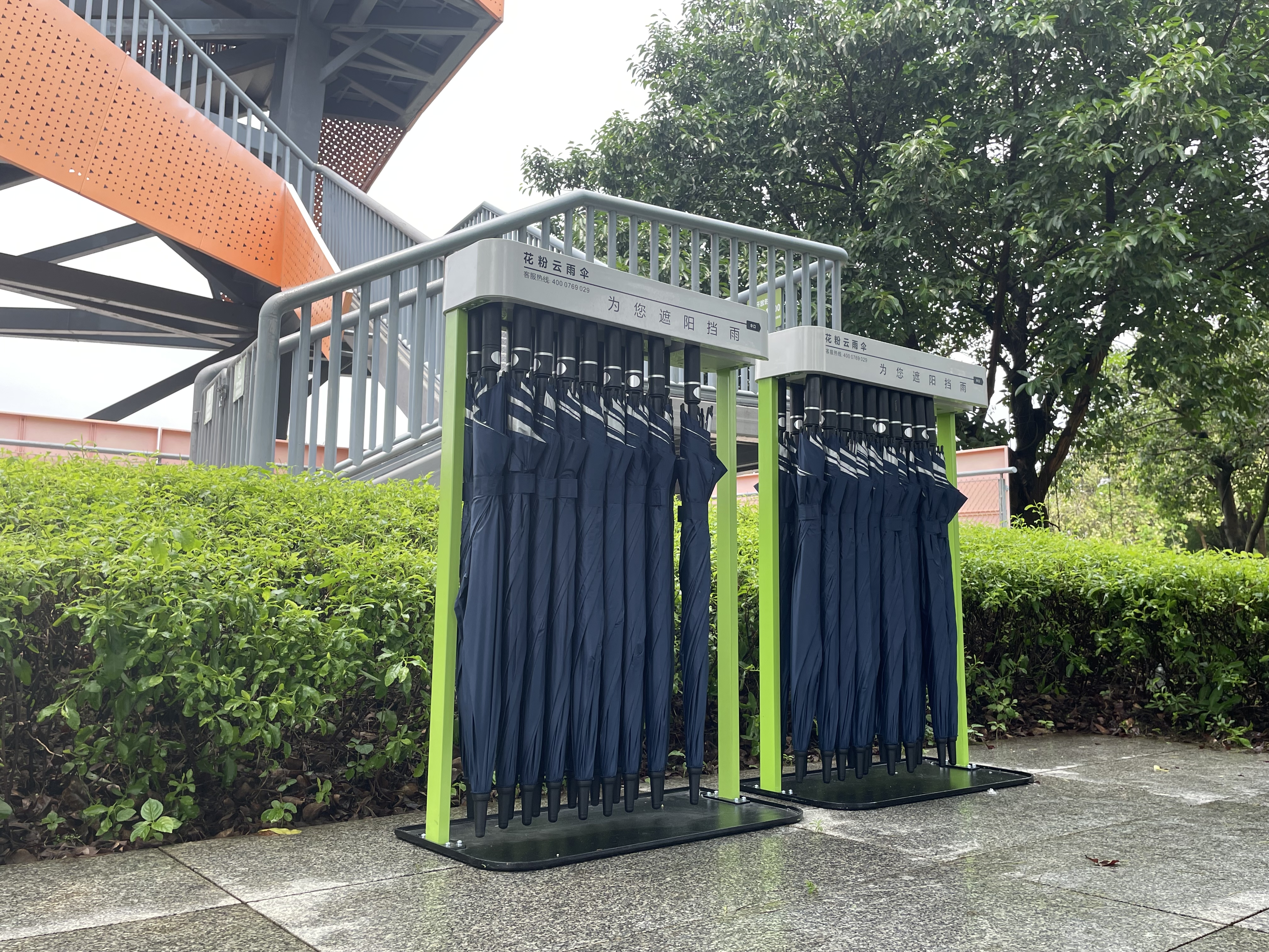 投放共享雨傘，品牌怎么選？花粉云給你答案！