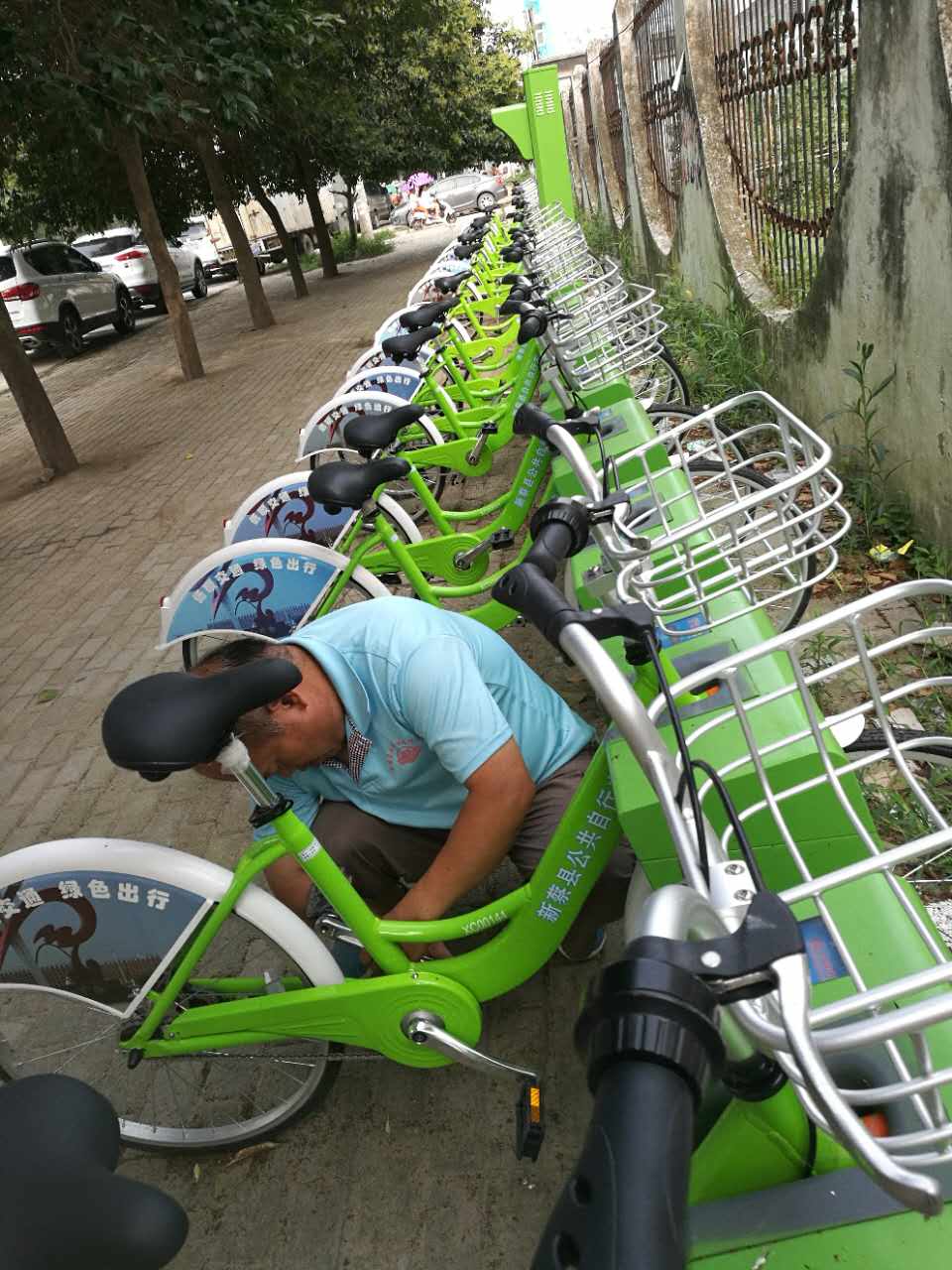 祝賀法瑞納集團在河南新蔡市的又一公共自行車項目完工