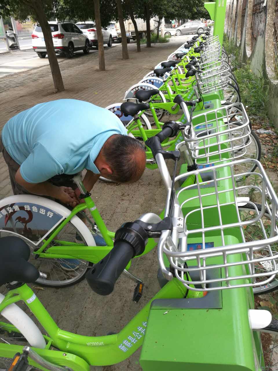 新蔡縣<a href=http://www.auto-world.cn/ target=_blank class=infotextkey>公共自行車</a>"width="500"