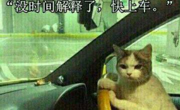 共享雨傘|法瑞納共享雨傘|共享雨傘系統(tǒng)|共享雨傘生產(chǎn)廠家|花粉共享雨傘|沒(méi)時(shí)間解釋了快上車".jpg"